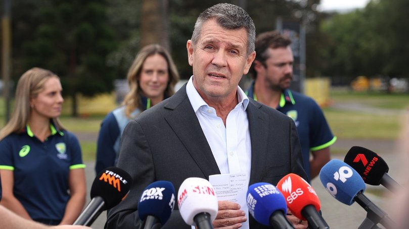 Mike Baird has stepped down as Cricket Australia chair.