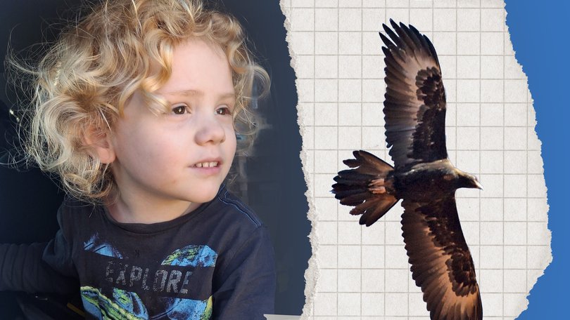 Could an eagle have taken Gus Lamont? 
