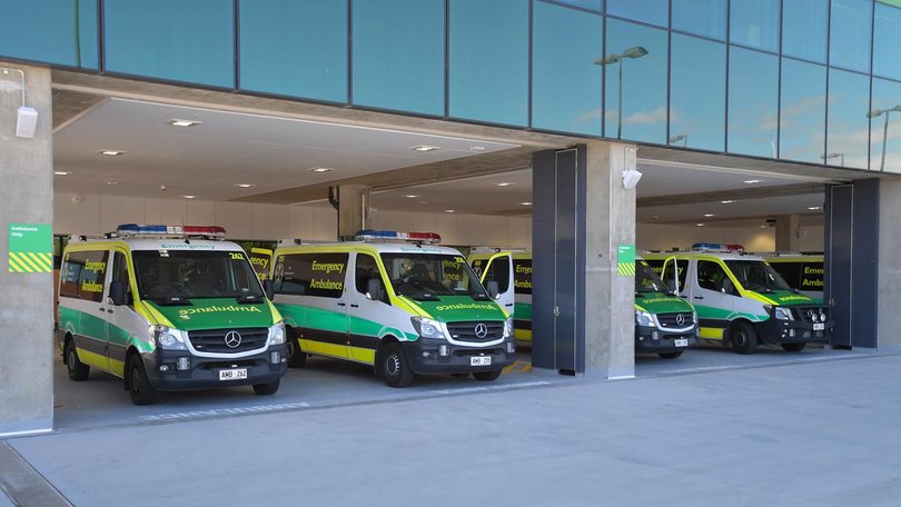 South Australia’s total number of measles cases has risen to the highest in 10 years.