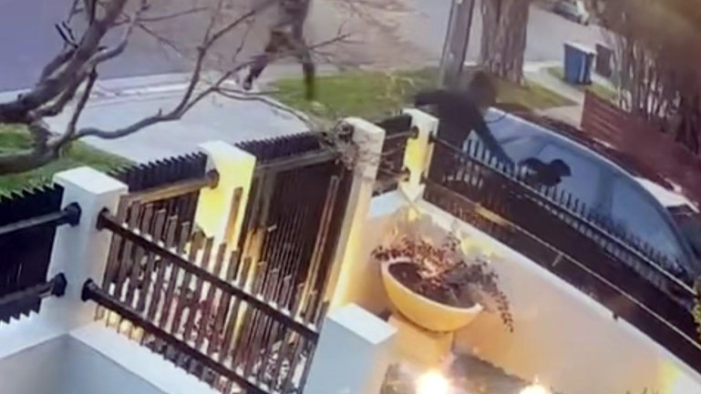 The terrifying moment masked youths allegedly attempted to ambush the family.