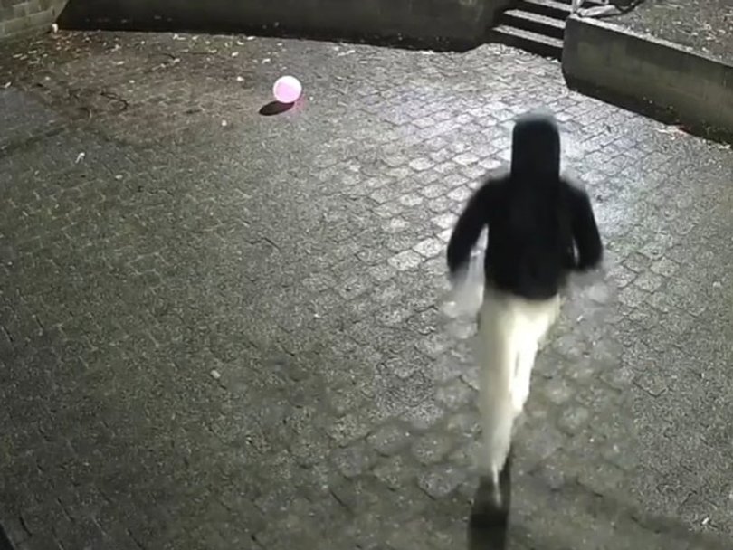 Police suspect one of the males is 18 or 19 years old.