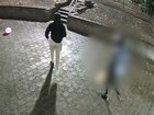Police have released footage of two males six weeks after a fatal inner-city stabbing. 