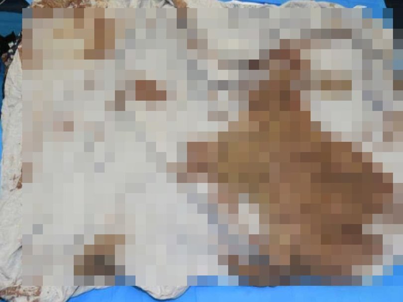A blood stained quilt found in the skip bin. Picture: NewsWire Handout