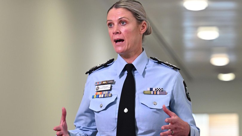 Australian Federal Police Commissioner Krissy Barrett said the force alleged Mr Teslov ‘joined the Ukrainian armed forces, gaining access to information relating to military personnel, units and locations.’