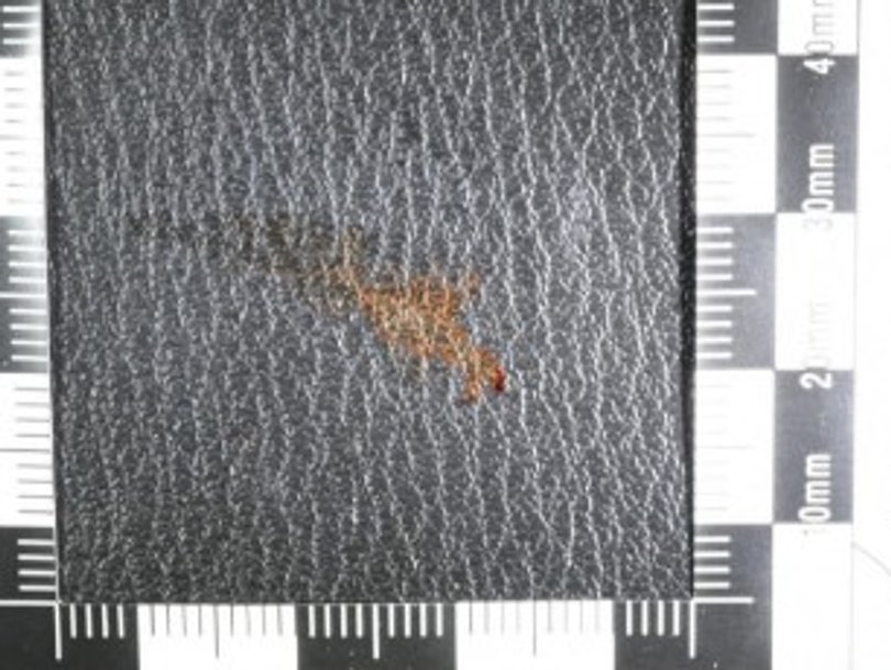 A blood stain found in the Mazda. Picture: Court exhibit.