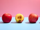 Been sold a plan for a self-managed super fund promising mega annual returns? Hasn’t worked out that way? What should you do with your money now, and who can you turn to for possible compensation? 