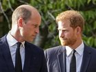 A new plan to finally bring the feuding royal brothers back together has emerged.