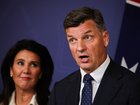 Opposition Leader Angus Taylor has announced that under a Coalition government, immigration levels would fall to the lowest level since 1998 outside of the pandemic, as One Nation soars in the polls.