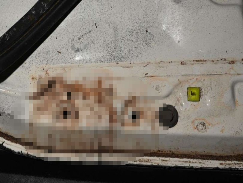 Blood stains were found on the van, the jury was told. Picture: NewsWire Handout