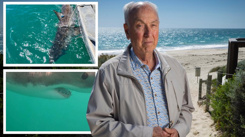 Jim Penn, a retired fisheries scientist with more than 40 years of experience in stock assessment in WA and overseas, is calling for an independent reassessment of the white shark population