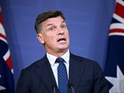 Angus Taylor grilled over ‘ICE squad’ for Australia.