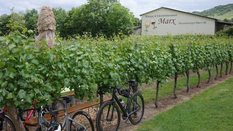 Bikes lined up outside the Welngut & Edolobstbrennerei Winery.