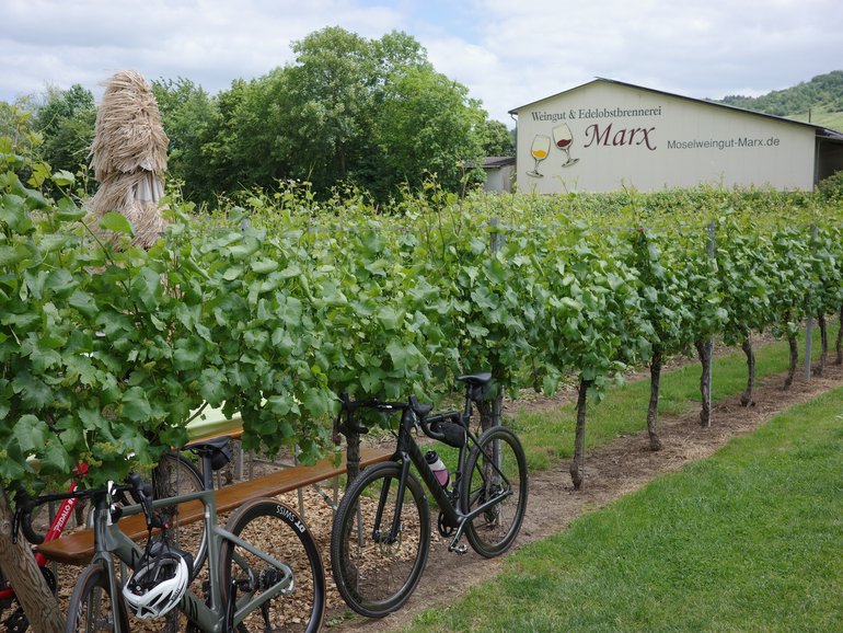 Bikes lined up outside the Welngut & Edolobstbrennerei Winery.