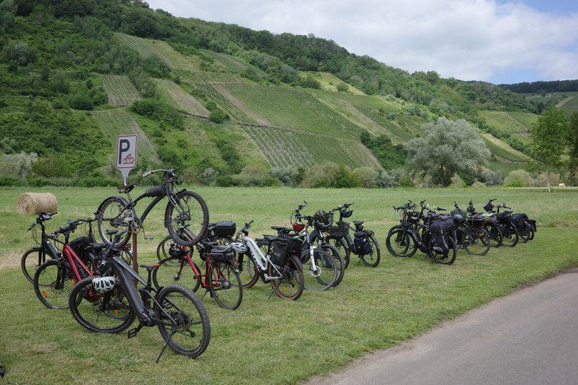 A peloton of bikes parked outside a winery.