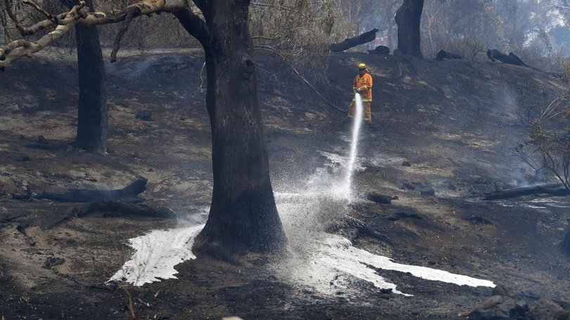 A study has pointed to land use since colonisation as being a big factor in recent bushfires. (Julian Smith/AAP PHOTOS)