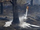 A study has pointed to land use since colonisation as being a big factor in recent bushfires. (Julian Smith/AAP PHOTOS)