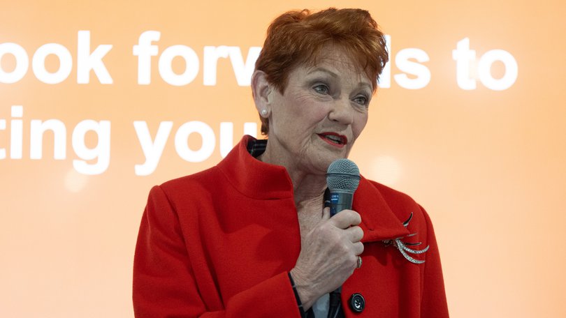 One Nation leader Pauline Hanson has declared anti-Semitism must be stamped out of Australian politics, claiming that hatred of Jewish people is ‘rampant’ in the Greens and is a ‘cancer’ within the Labor party.