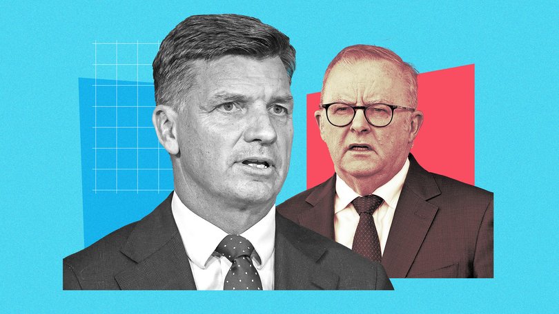 Angus Taylor and Anthony Albanese