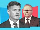 Angus Taylor and Anthony Albanese