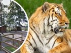 Harrowing details have emerged of the moments before a man leapt into a tiger enclosure at a UK zoo and was mauled to death.