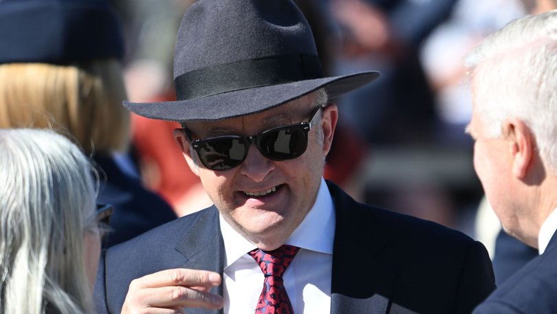 Anthony Albanese delivered an address to the crowd.