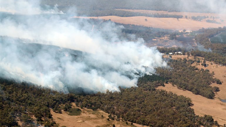 All of the Greater Sydney and Greater Hunter areas have been placed under a total fire ban. NewsWire / David Crosling