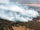 All of the Greater Sydney and Greater Hunter areas have been placed under a total fire ban. NewsWire / David Crosling