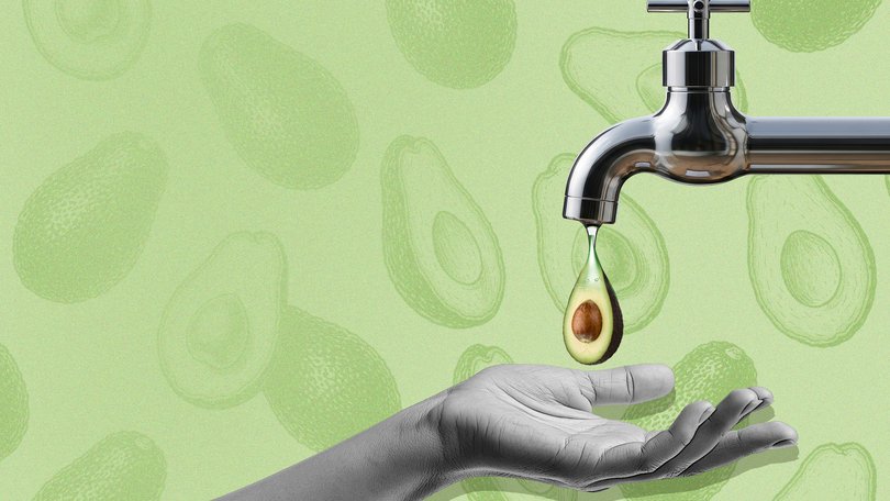 avo toast on tap