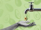 avo toast on tap