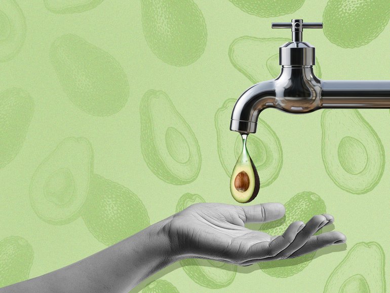 avo toast on tap