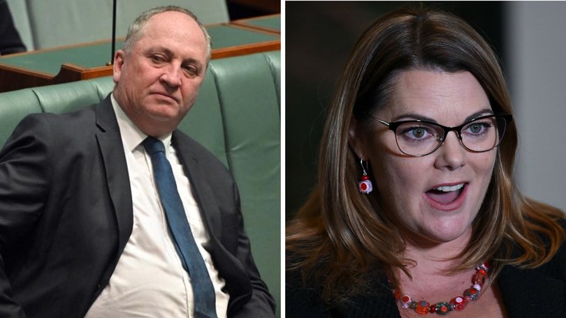 One Nation MP Barnaby Joyce and Greens Senator Sarah Hanson-Young have raised concerns over Australians’ ability to watch a live stream of a firing squad execution in the US.