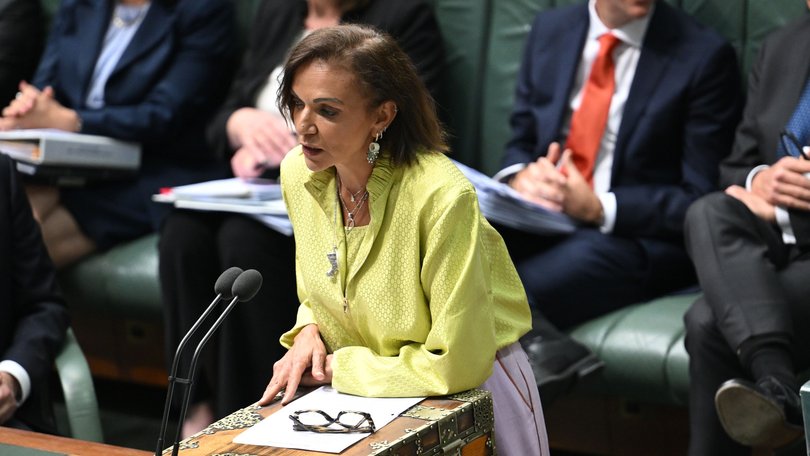 Small Business Minister Anne Aly has revealed she only found out at the same time as the public about the Australian Taxation Office’s ban on credit card payments.