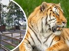New details have emerged of the fatal encounter between a man and a 190kg tiger named Altai at a UK wildlife park.