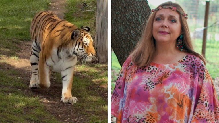 Netflix star Carole Baskin has defended Altai, the 190kg tiger at the centre of Saturday's fatal wildlife park attack.