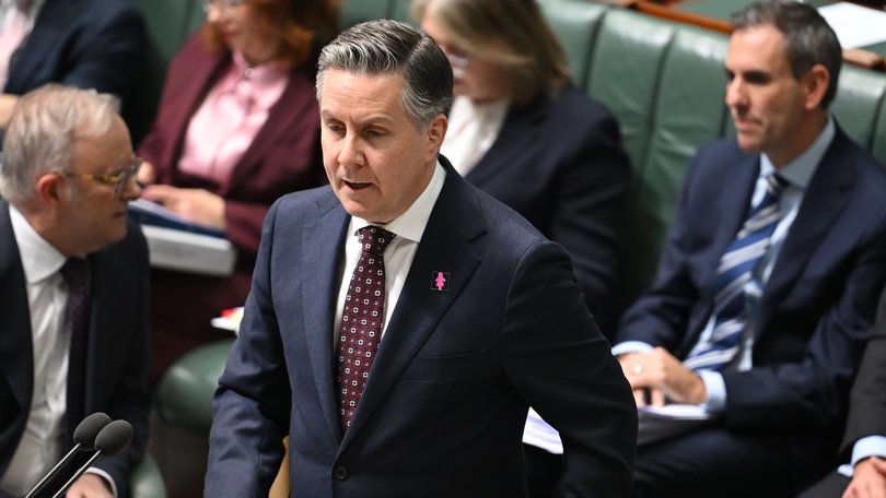 Health Minister Mark Butler. Picture: NewsWire / Martin Ollman