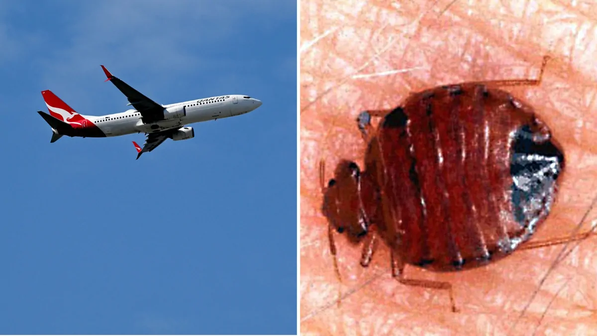 Qantas flight QF6 from Rome to Perth cancelled after reported bed bug outbreak onboard Boeing 787 Dreamliner