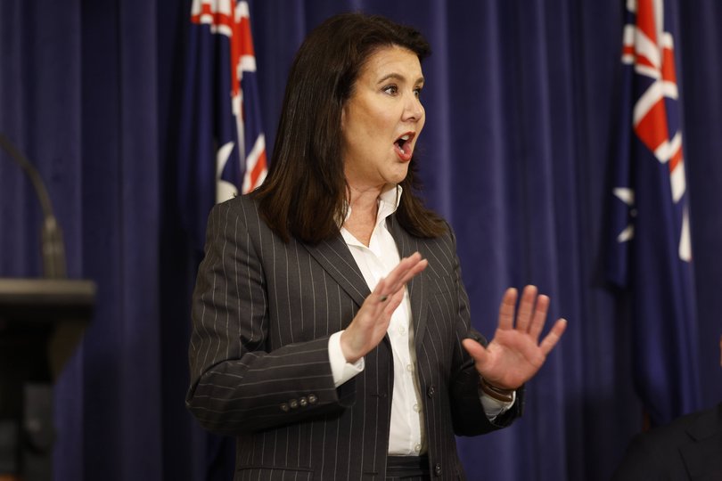 Deputy Opposition leader Jane Hume (pictured) vowed to introduce private members bills in the House and Senate on Tuesday to tackle recent woes with the Australian Taxation Office’s decision not to accept credit card payments. 