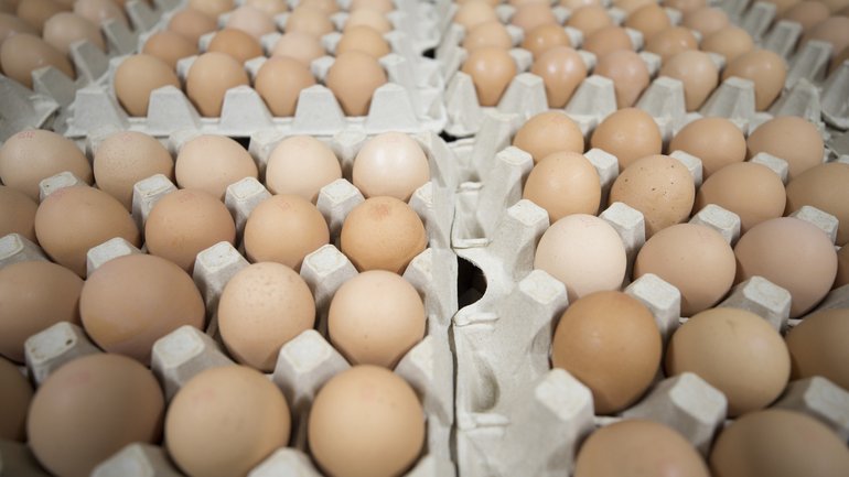 Some of Australia’s biggest egg producers have been accused of secretly coordinating supply decisions in a move the consumer watchdog says may have hurt competition for years.