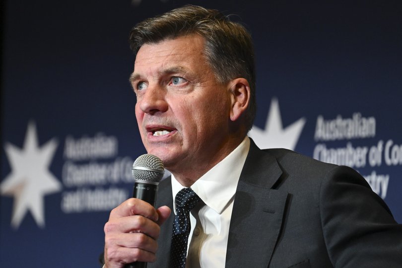 Anthony Albanese accused Angus Taylor (pictured at the CPAC conference) of withdrawing the Liberal Party from the mainstream.