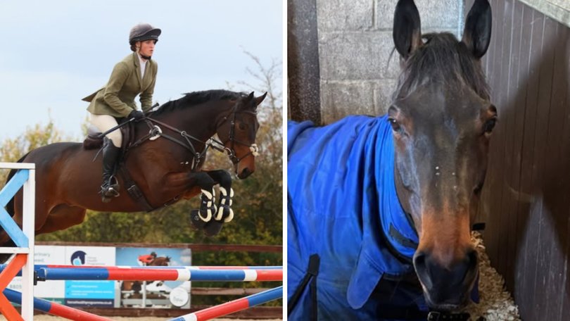Tinks Walker has had her Olympic hopes crushed after a horror car crash which left her severely injured and her prize-winning horse dead.