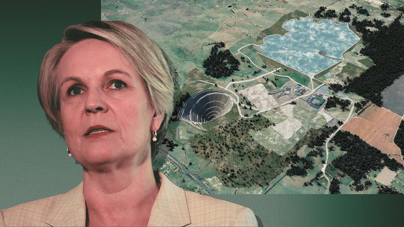 Tanya Plibersek vetoed the site of a dam to store soil and rock from McPhillamys gold mine.
