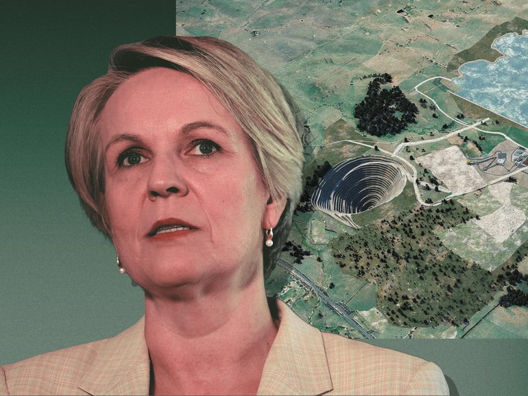 Tanya Plibersek vetoed the site of a dam to store soil and rock from McPhillamys gold mine.