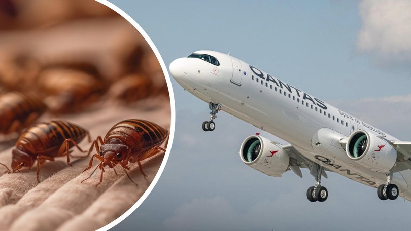 Passengers on board the Rome-bound Qantas flight from Perth Airport recall bedbugs crawling all over them as they slept.