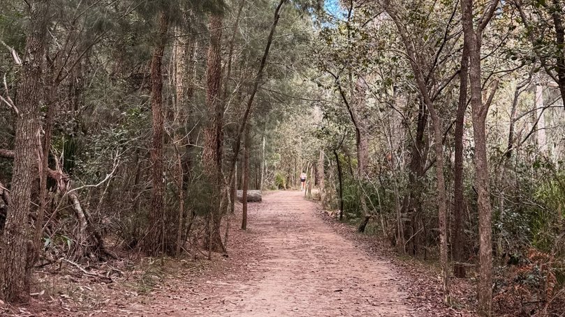 The women were allegedly touched and faced inappropriate comments. Picture: Instagram