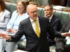 Anthony Albanese will use a keynote speech to make the case for social cohesion to be defended. 