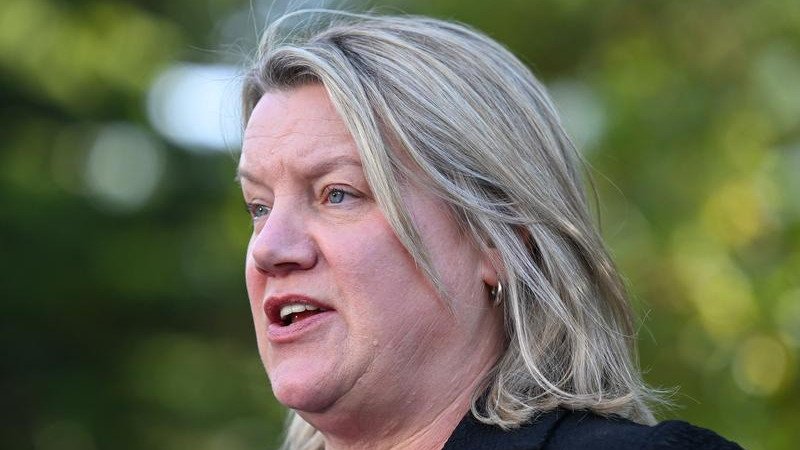 Ingrid Stitt has unveiled Victorian Labor's pledge to eliminate out-of-pocket costs for abortions.