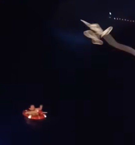 Vision from the Coast Guard shows the woman drifting in the lifebuoy in dark choppy water, as the ship’s crew throws her a rope.