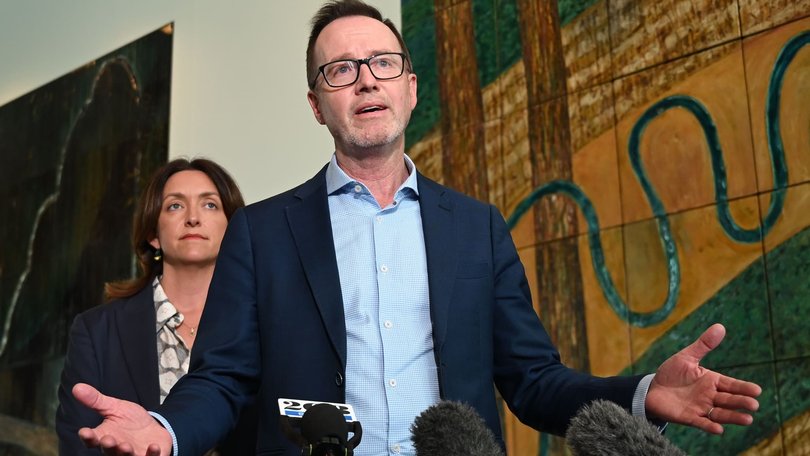 Senator David Shoebridge said the matter would be independently investigated by the WA Greens.