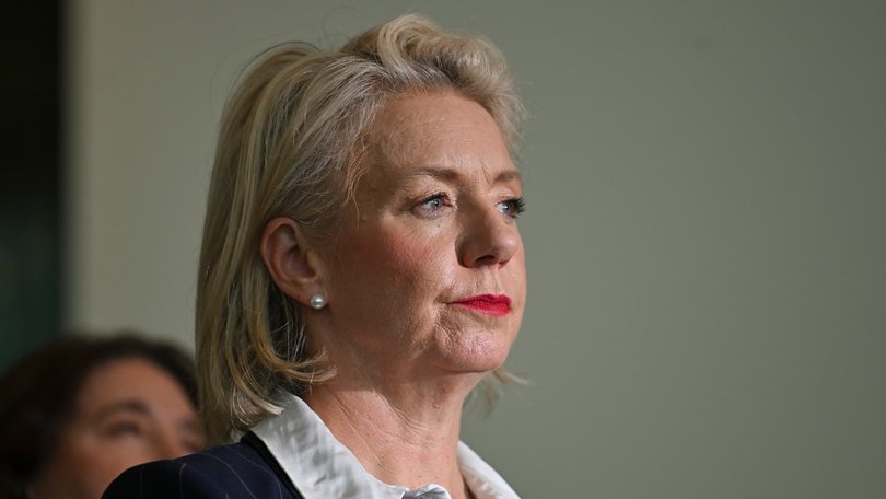 Nationals frontbencher Bridget McKenzie.