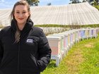 Danielle Munn, founder of 1000 Hives, is proud of the project's first beehives in an apple orchard. (PR IMAGE PHOTO)